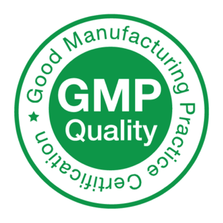 GMP LOGO
