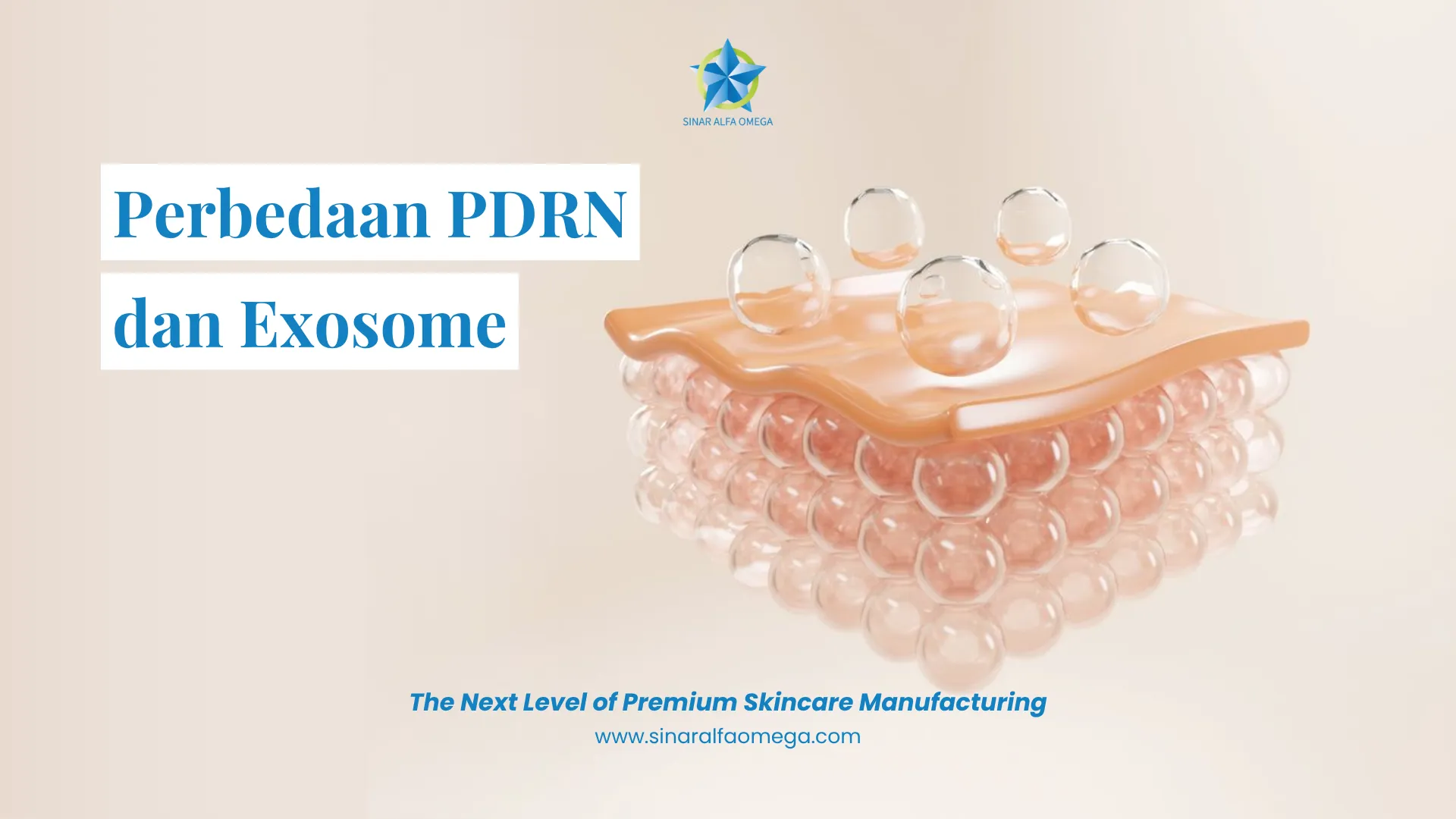 PDRN vs Exosome: Kenali Perbedaan Dua Kandungan Skincare Populer untuk Anti-Aging | Jasa Maklon Skincare Aman dan Terpercaya di Jakarta dan Tangerang | Sinar Alfa Omega